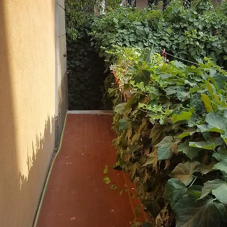 Bunker Verde Oda ve Kahvaltı *